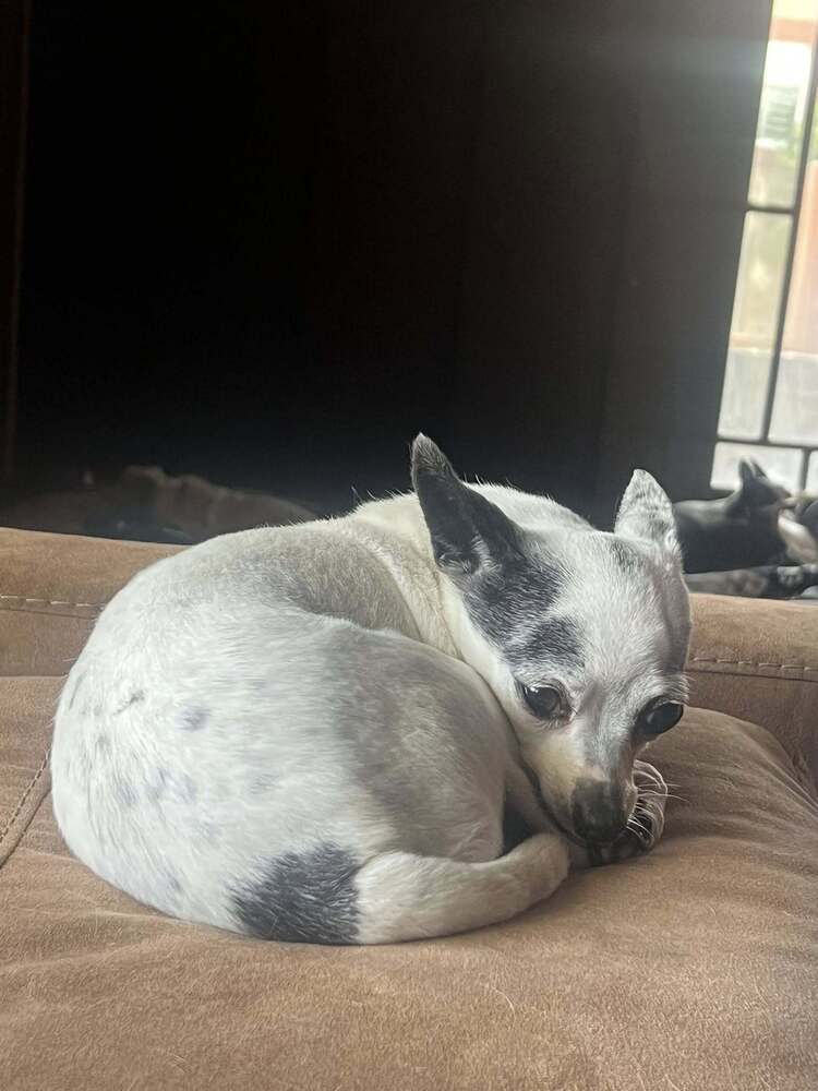 Carlos
