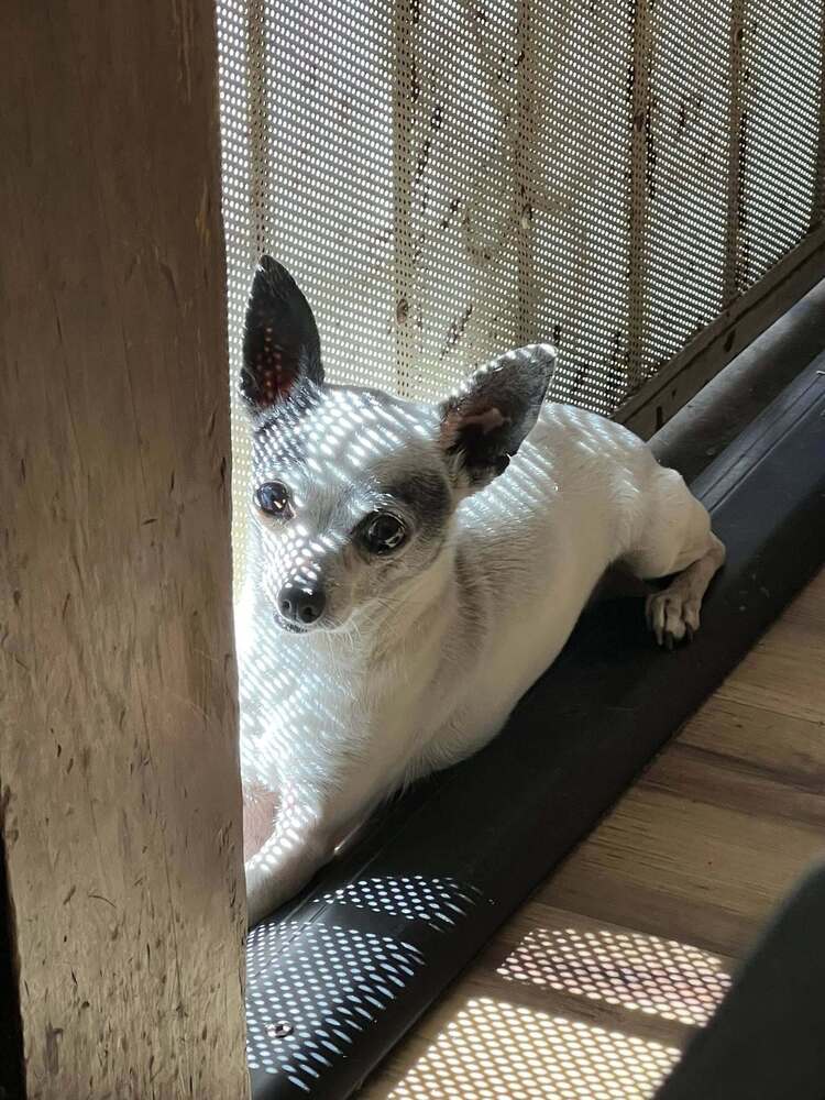 Carlos