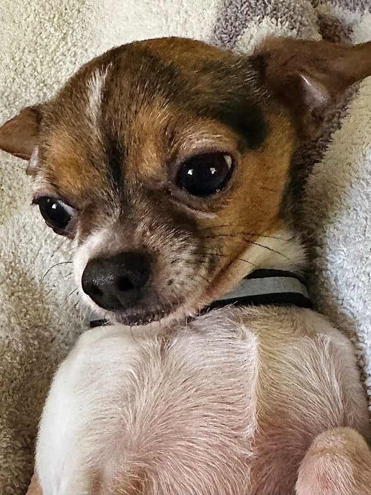 Harvey