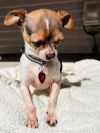 Harvey photo 6