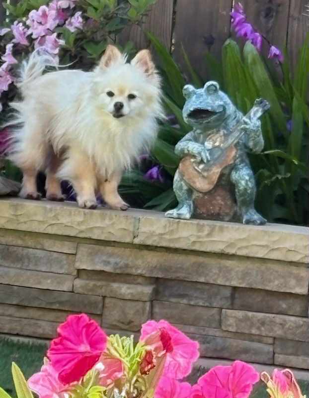 Scout and Scooter