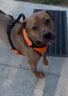 Waylon photo 2