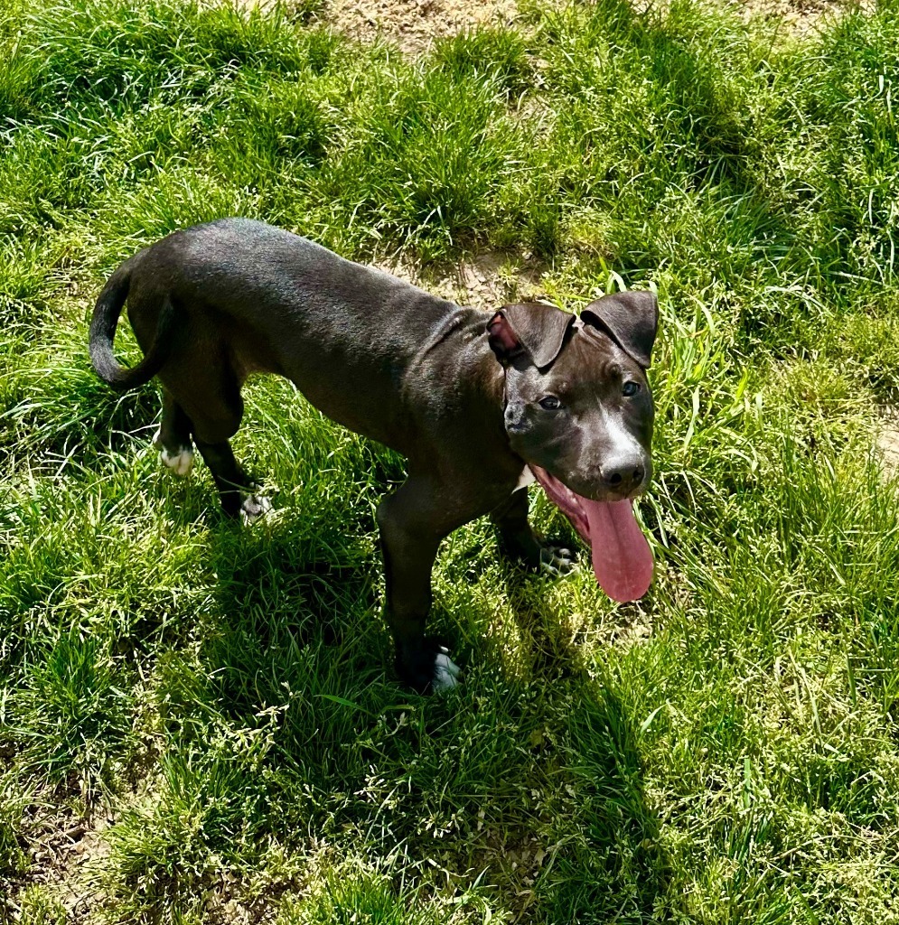 Charlie