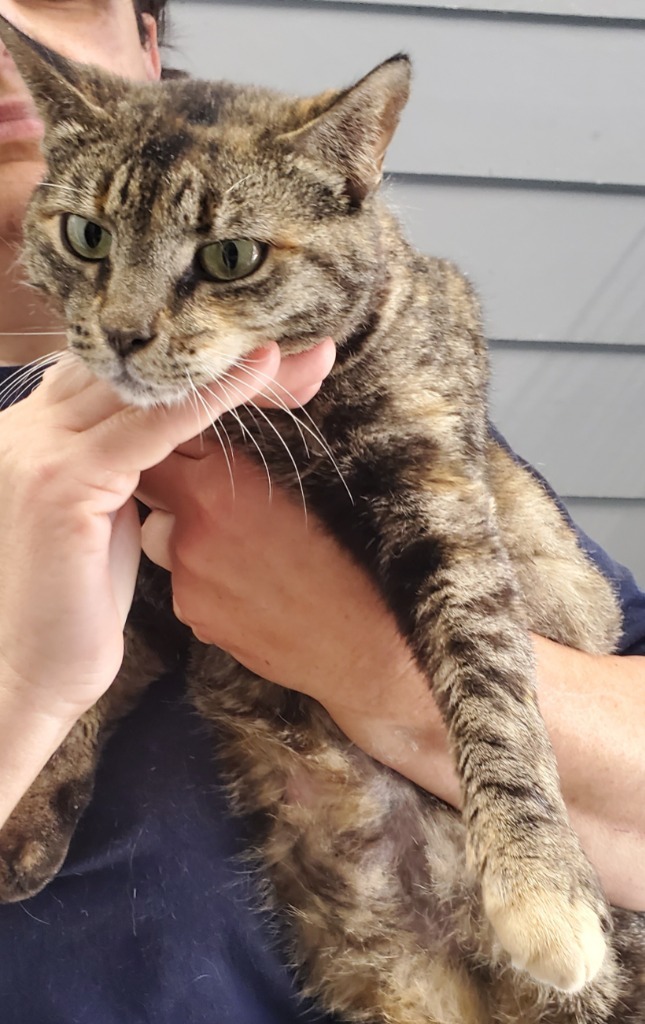 Sabrina