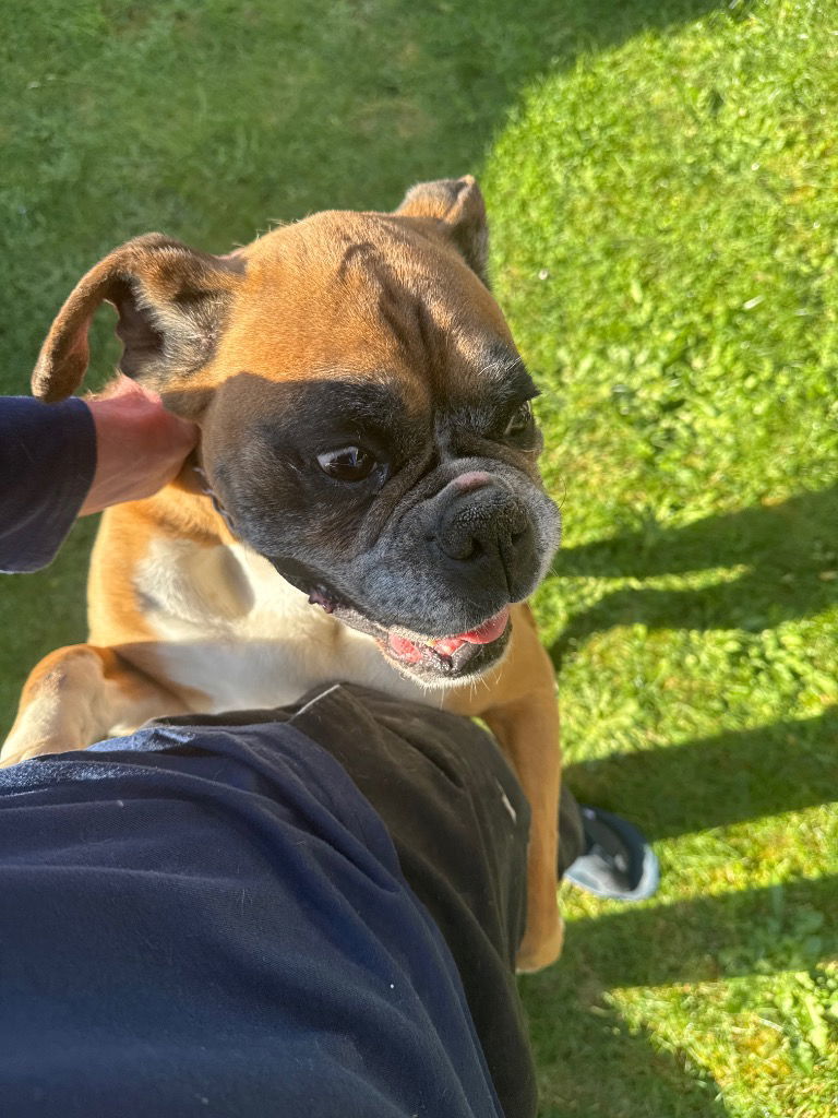 Kooka