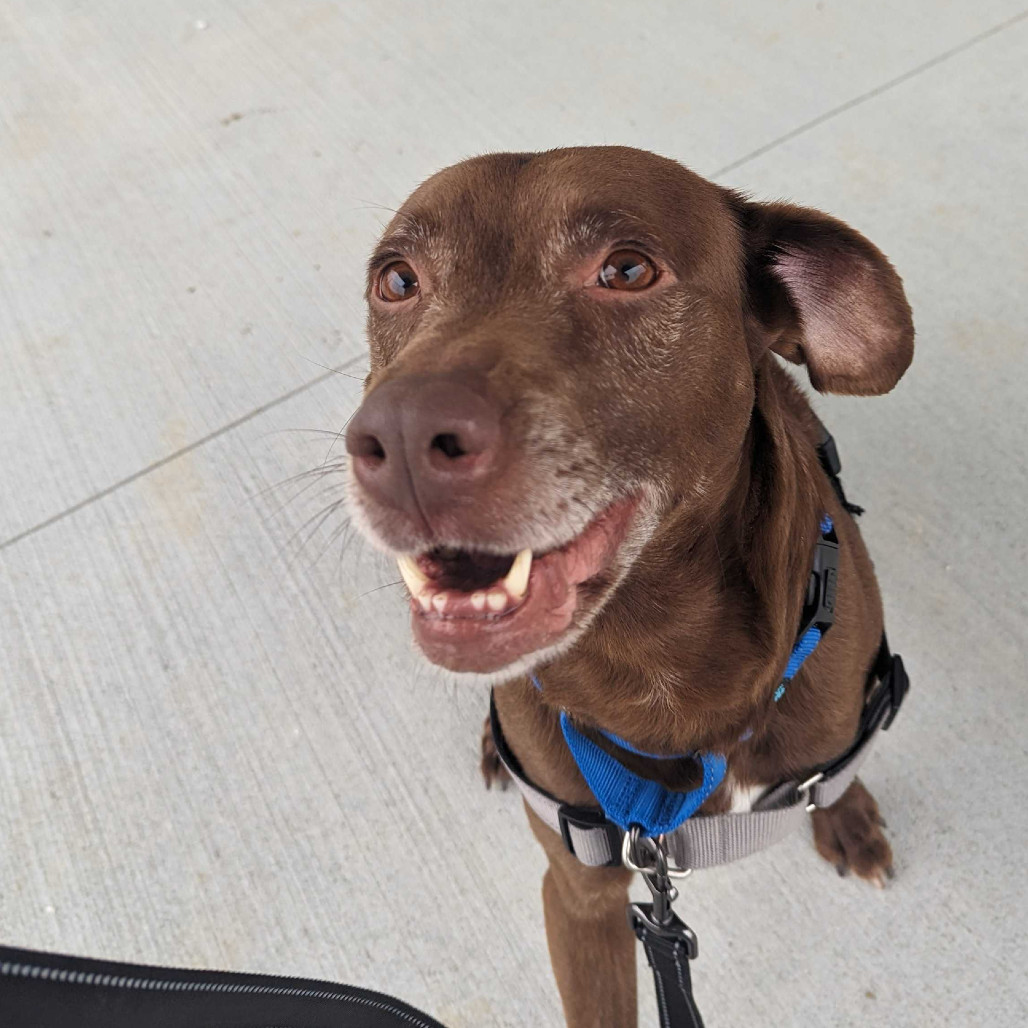 Axel