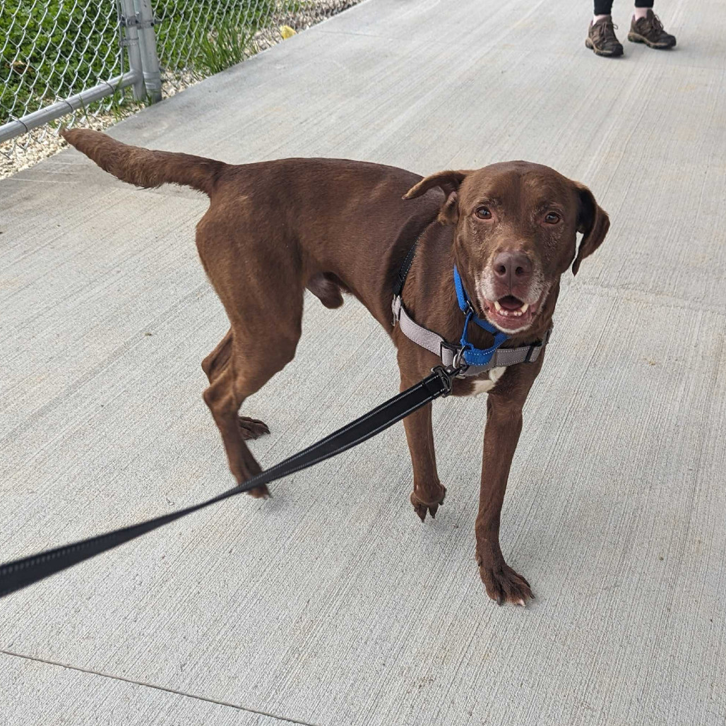 Axel