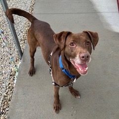 Axel