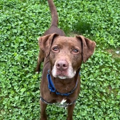 Axel
