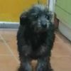 Mony photo 5