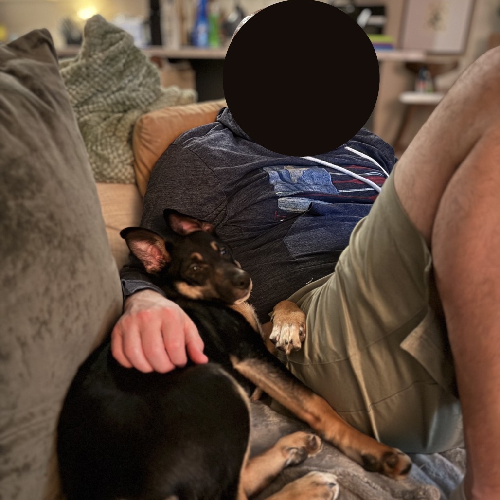 Goose--In Foster