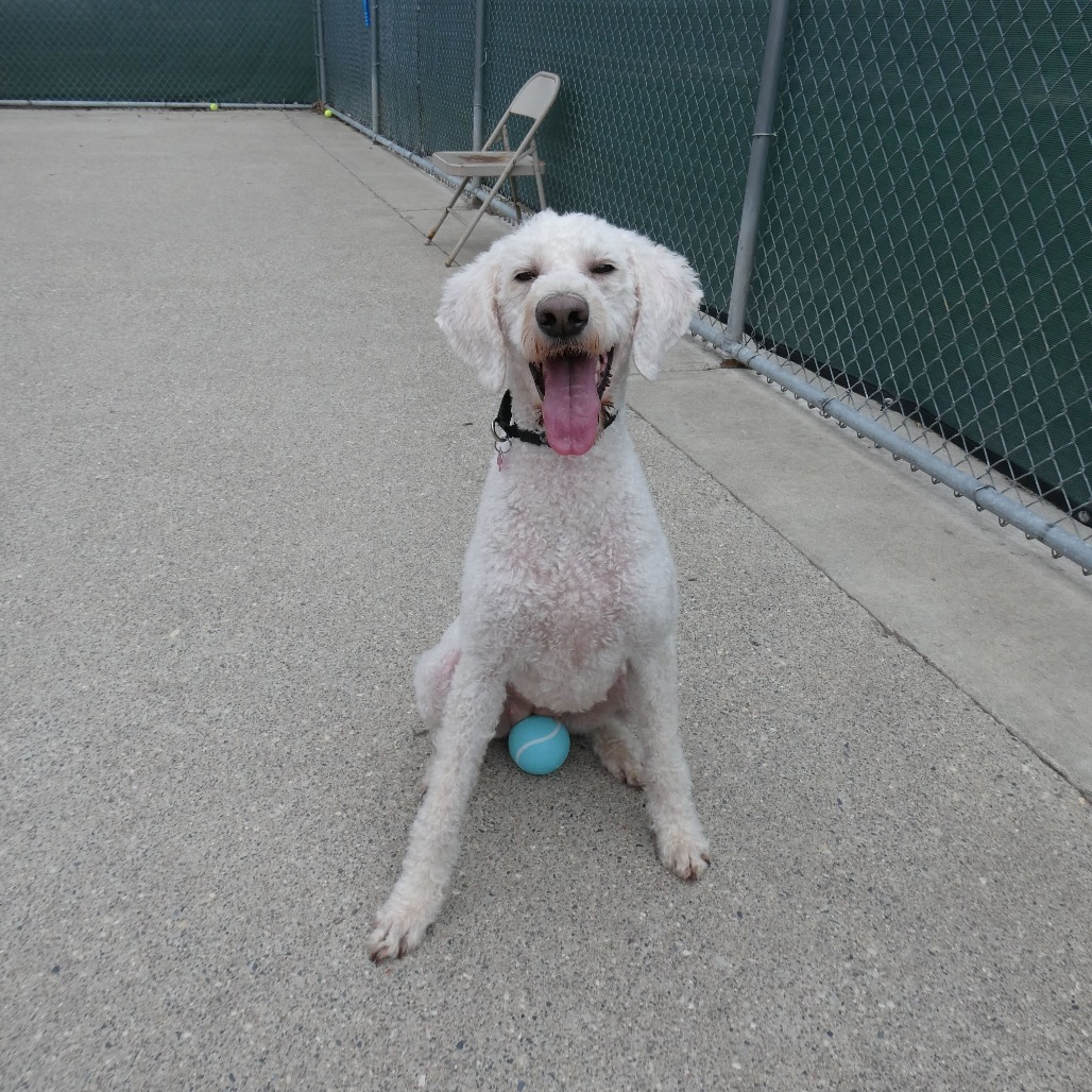 Dally--In Foster