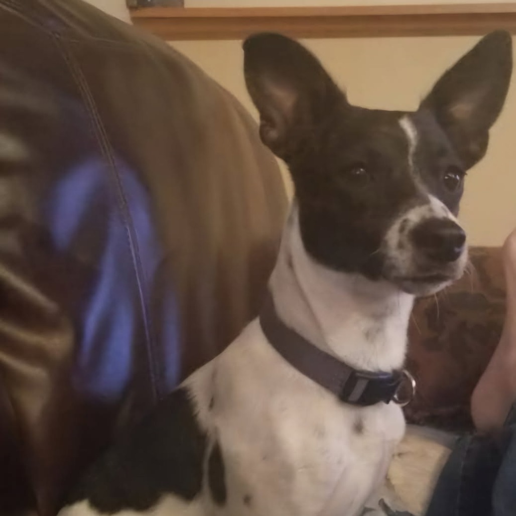 Max