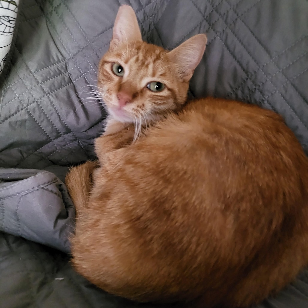 Diego