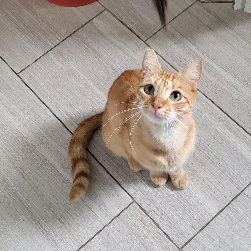 Diego