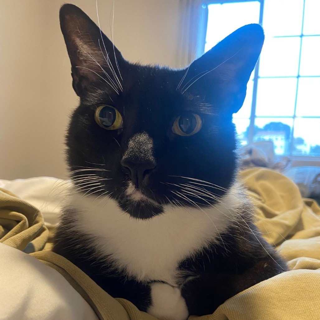 Sam