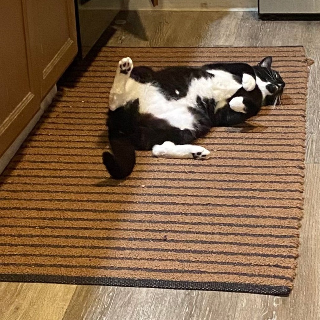 Sam