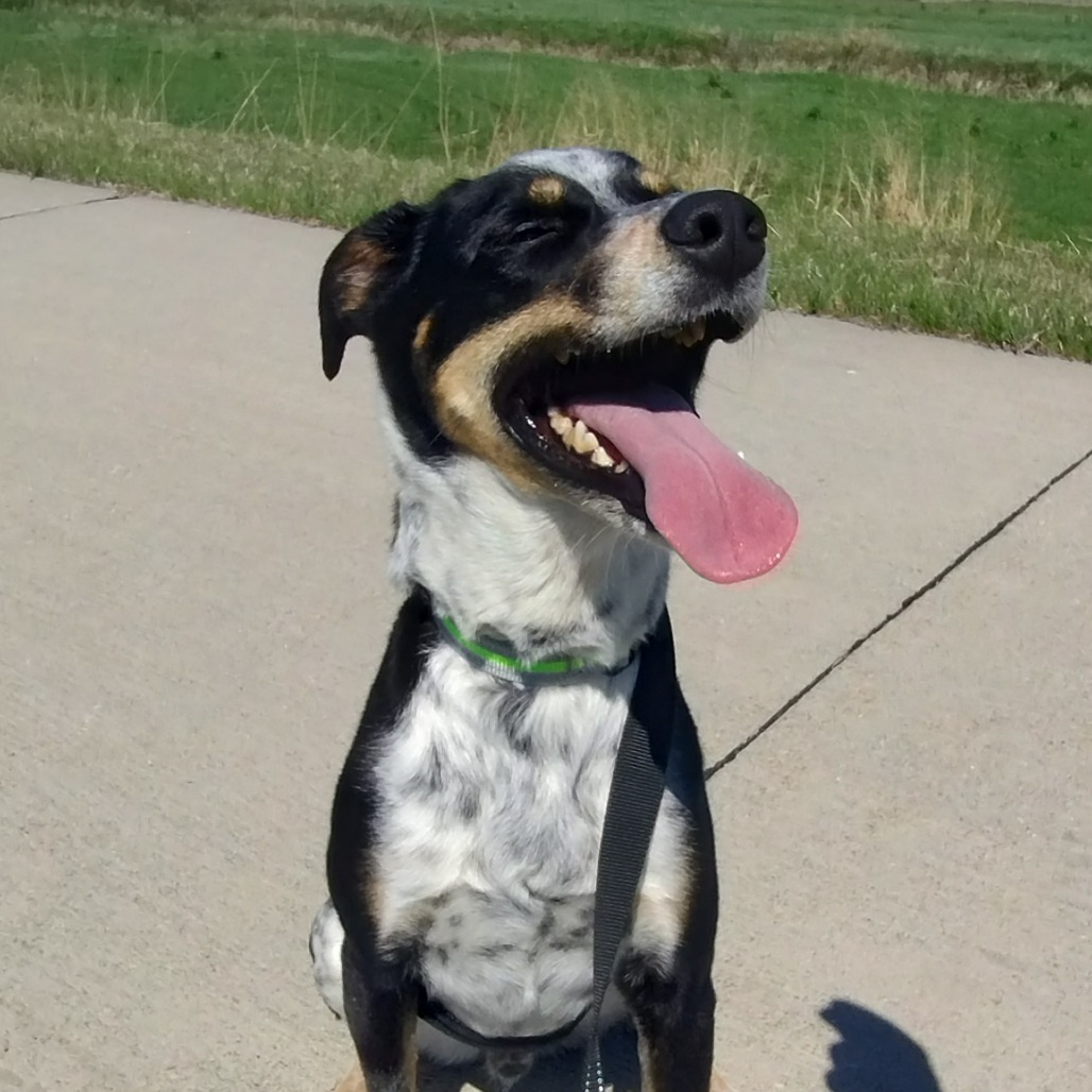 Mikey (Samson)