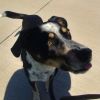 Mikey (Samson) photo 3