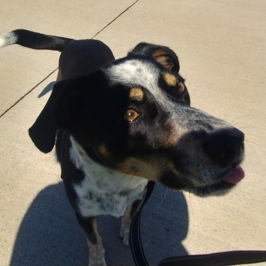 Mikey (Samson)