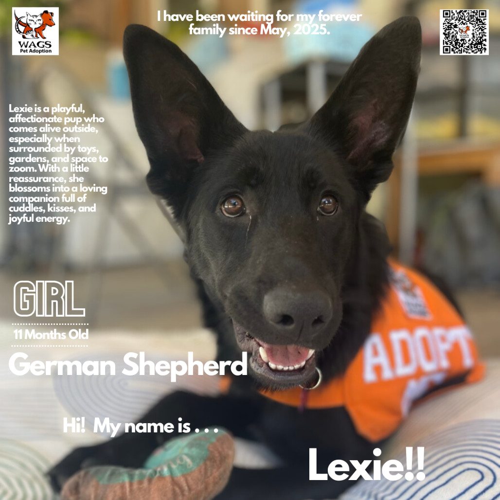 Lexie