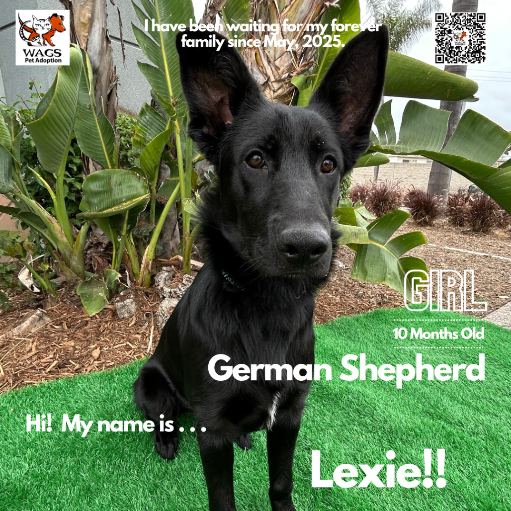 Lexie