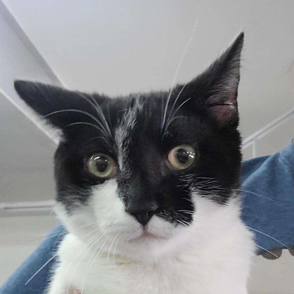 Monty