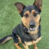 JEROME-A2118570 photo 1