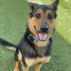 JEROME-A2118570 photo 3