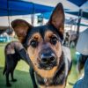 JEROME-A2118570 photo 5