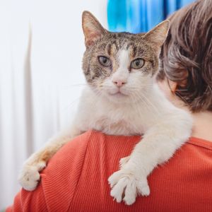 Meet Creme Brulee Creme Brulee is a 2-year-old soft-hearted lady Once she feels comfortable in her