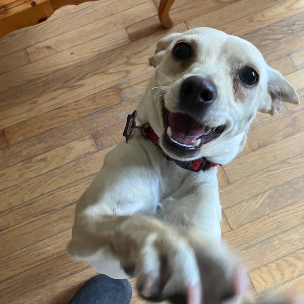 Matilda