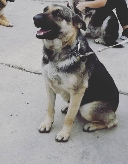 KIRA