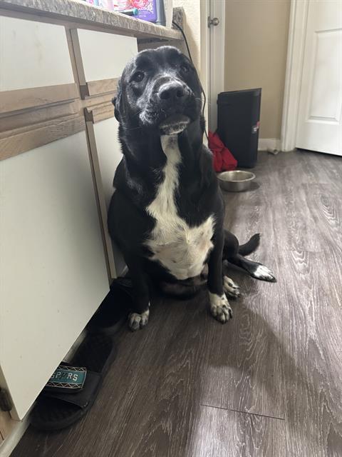 CHICO