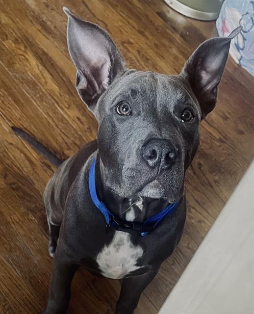ASTRO