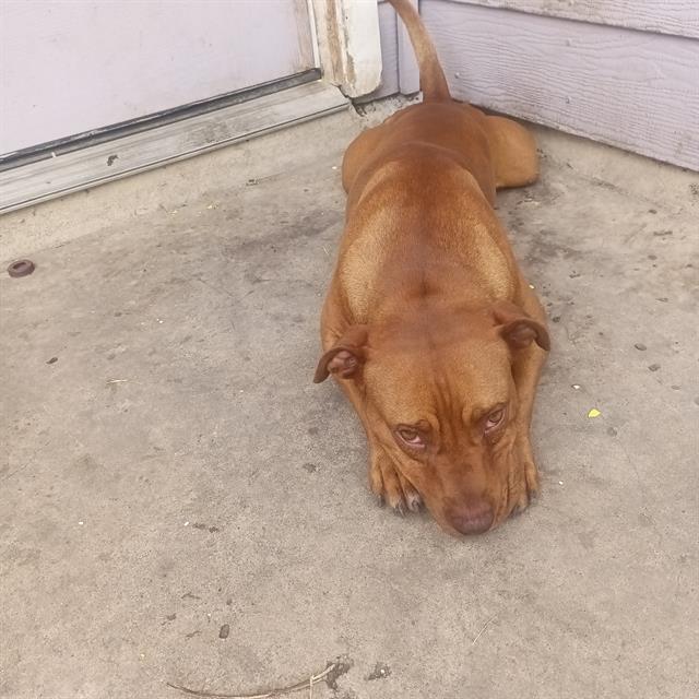 SLEEPY