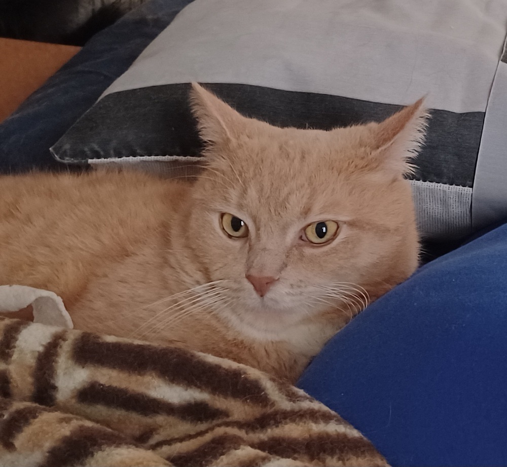 Tobias
