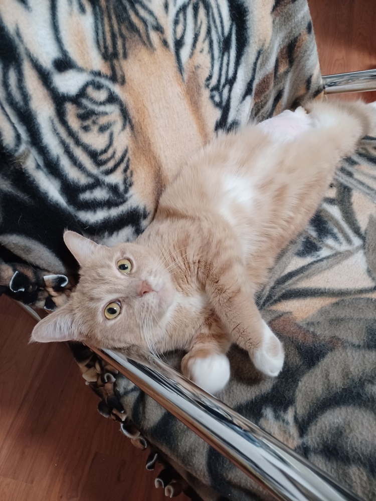 Tobias