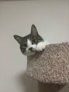 Bandit photo 2
