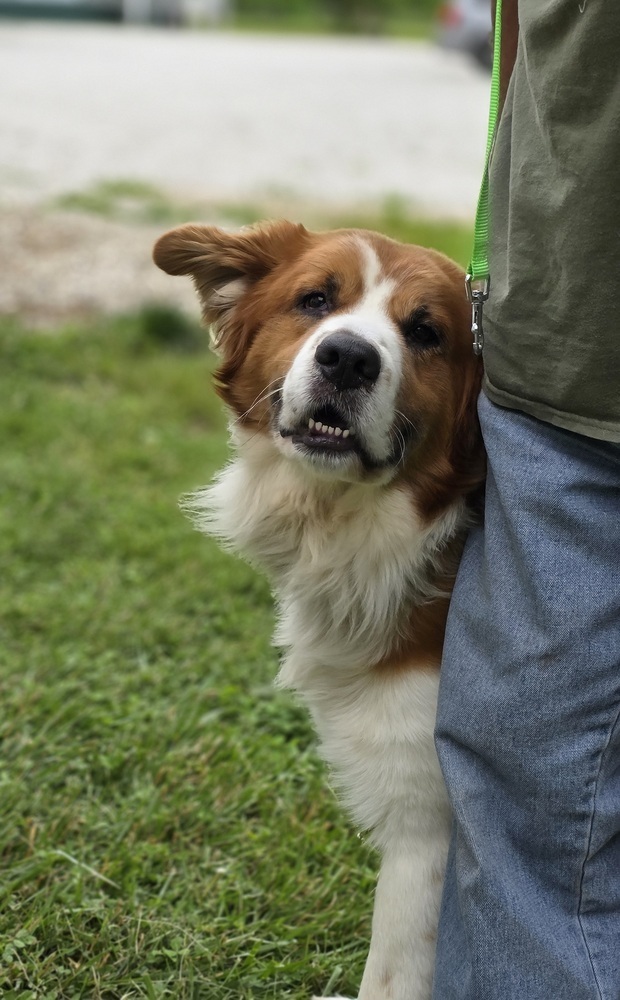 Bruno