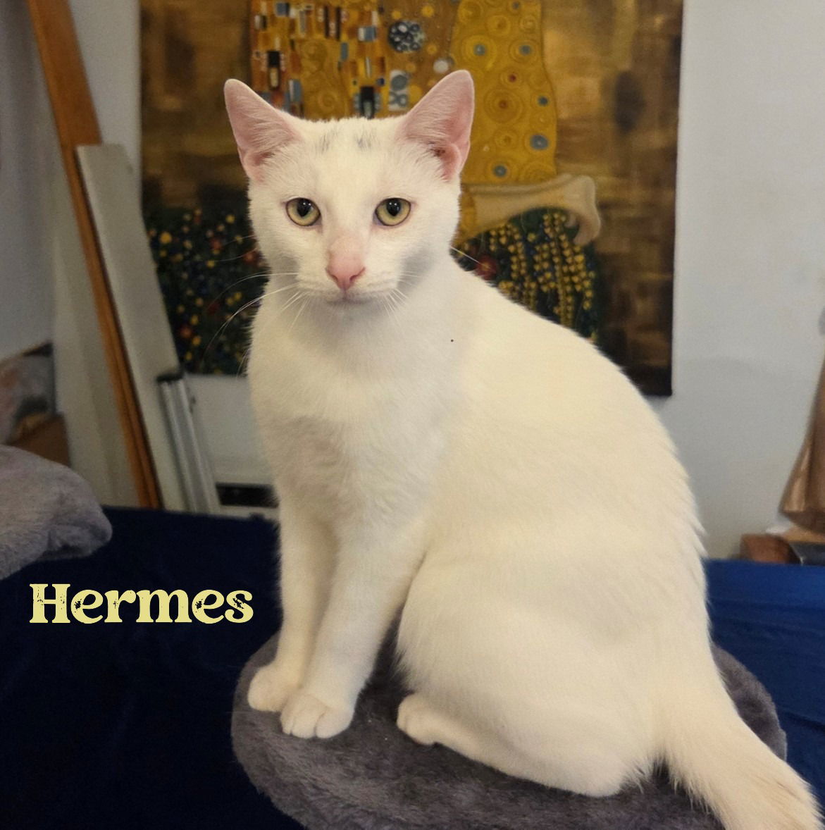 Hermes #charming-four