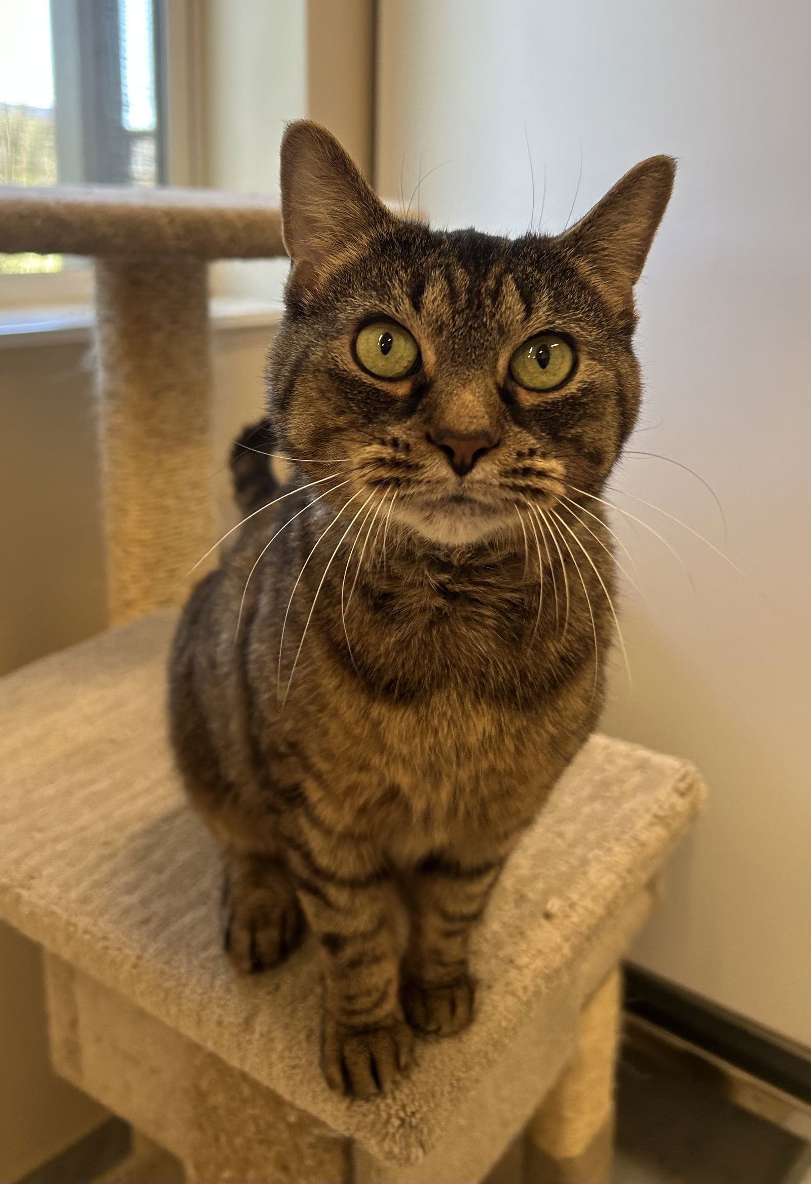 Delilah