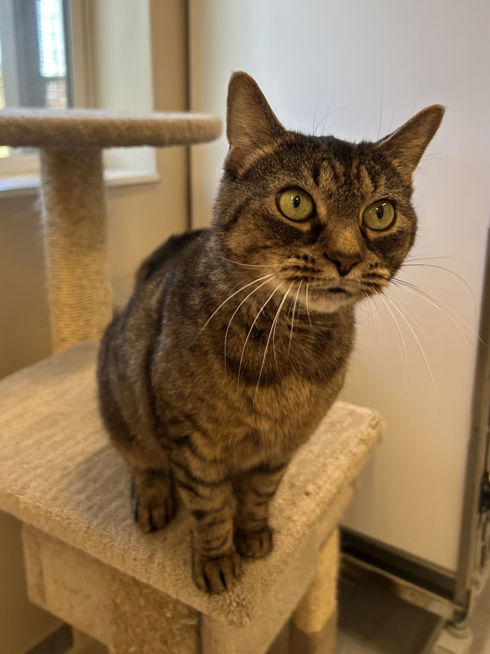Delilah