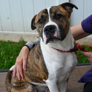 Hydro is ready to go Hes ready to leave shelter life behind and heres a few reasons you might wan