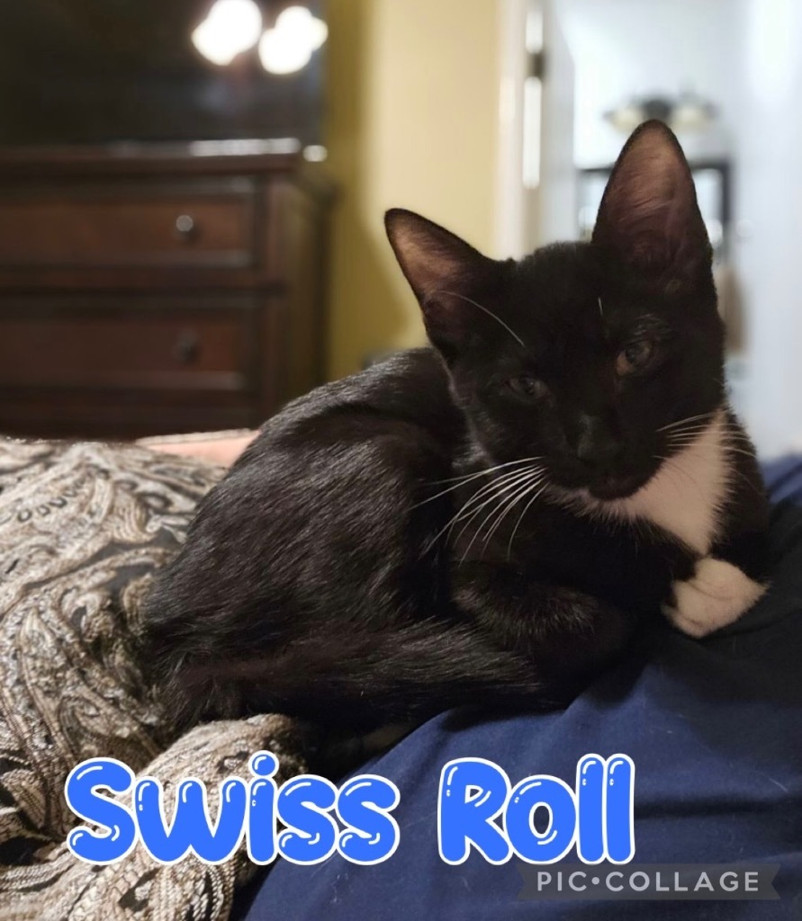 Swiss Roll