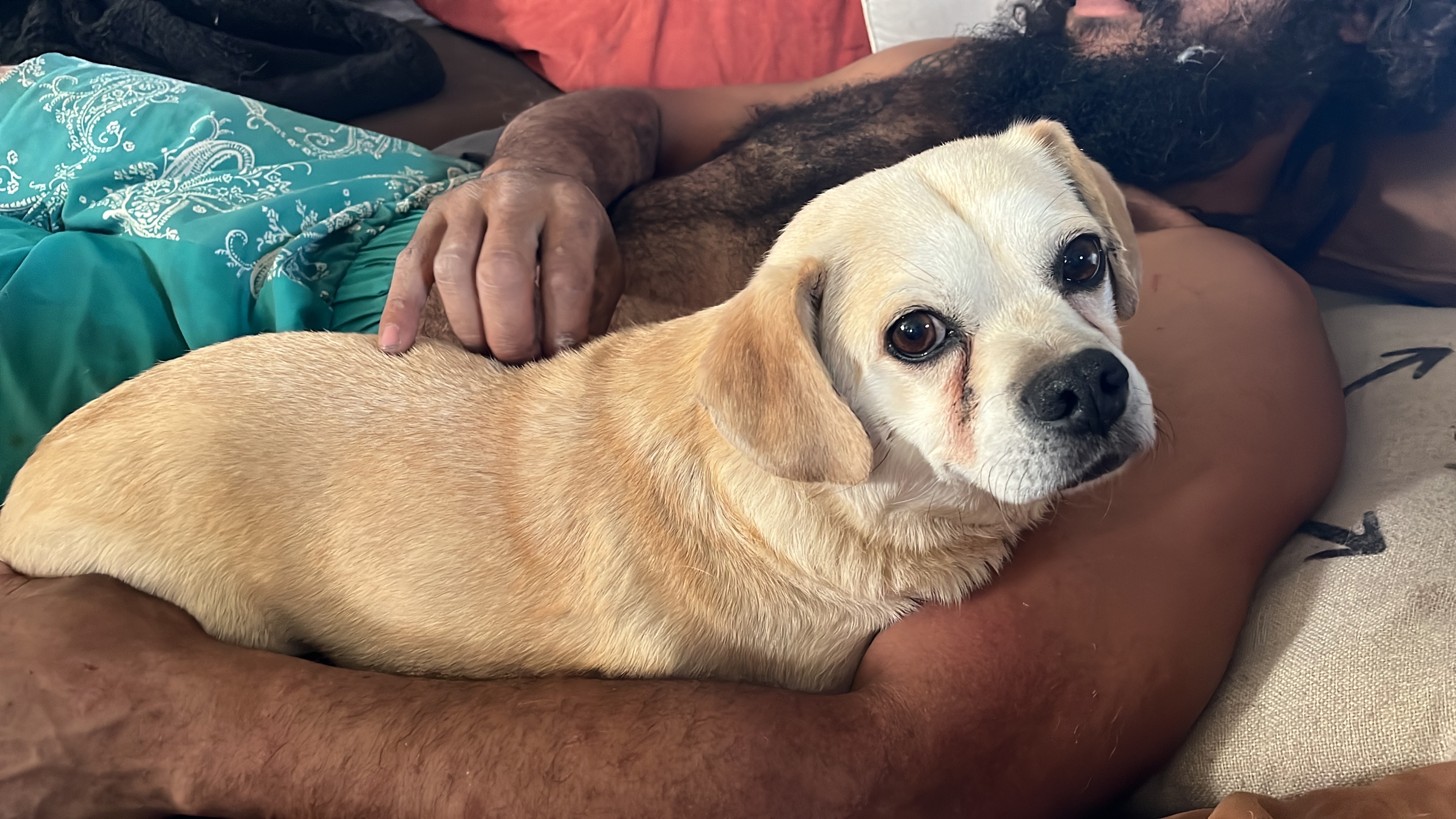 Max