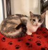 Mitzi