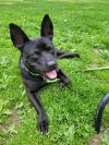Jaxx photo 2