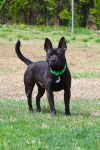 Jaxx photo 3