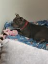 Monroe photo 5
